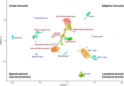 Editorial: Immunologic Mechanisms of Myeloid Neoplasms